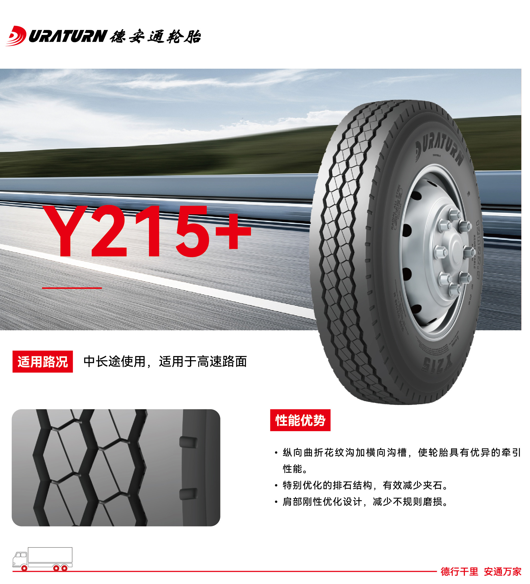 Y215+.jpg