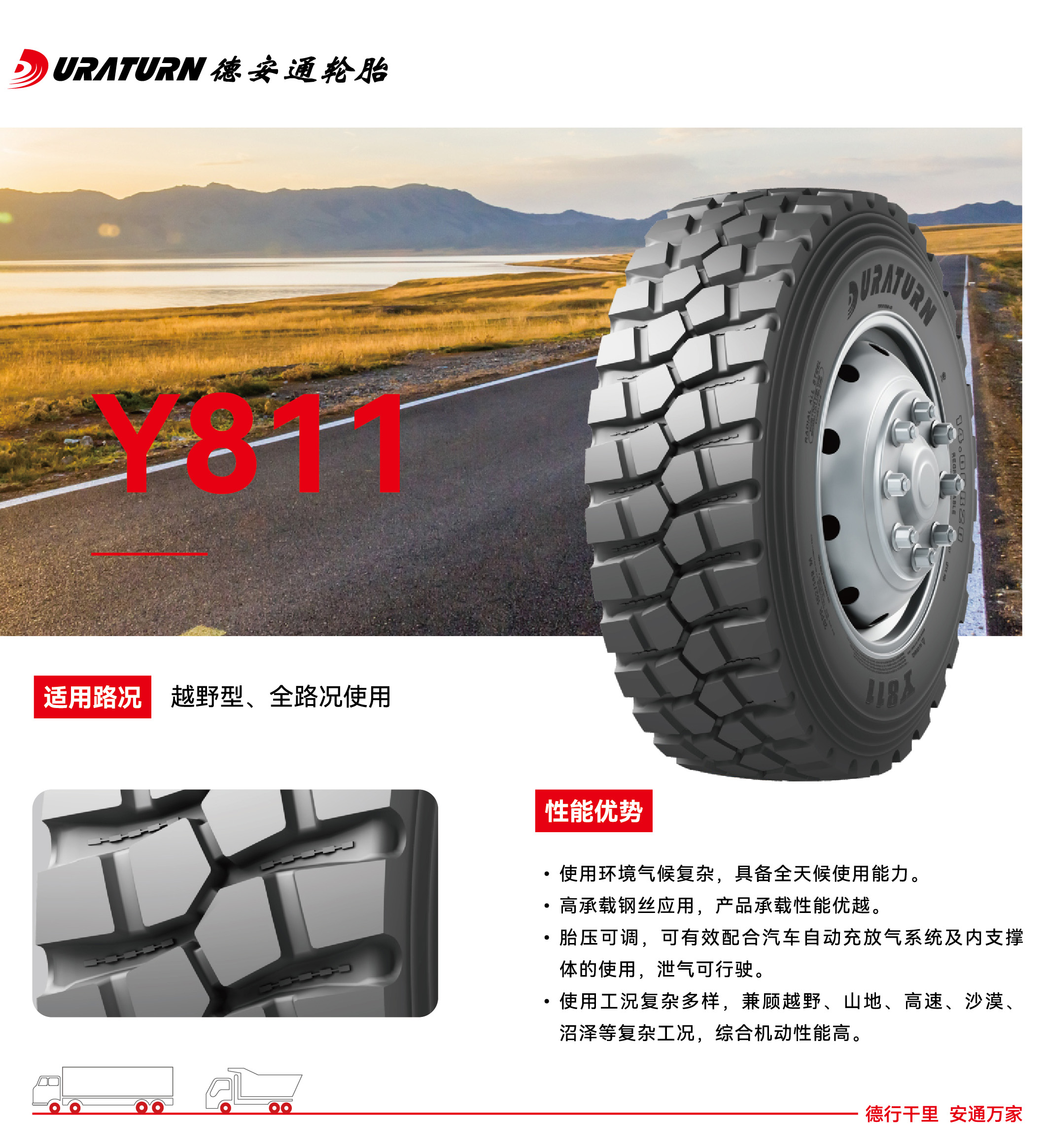 Y811.jpg