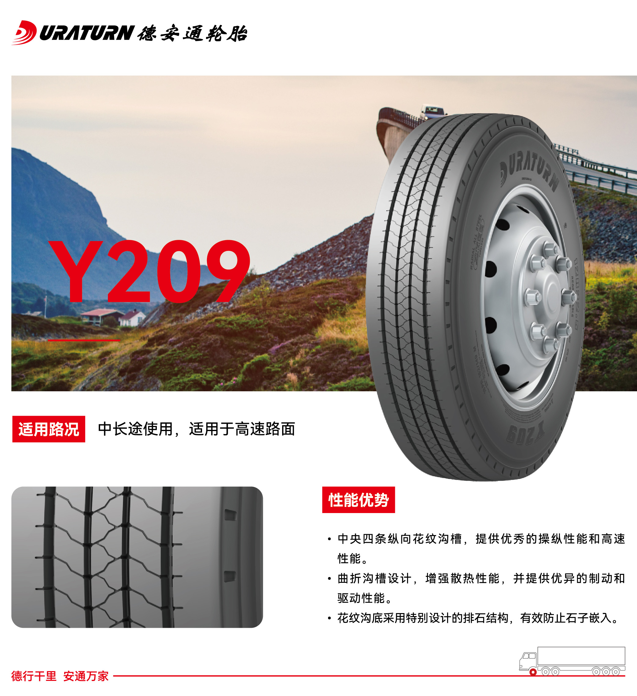 Y209.jpg